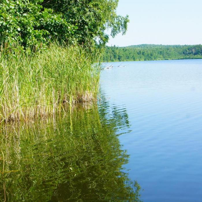 Озеро маян рыбалка. Озеро большой Агардяш Челябинская область. Озеро Казгалы Челябинская область. Касагалы озеро в Челябинской. Озеро малый Агардяш.
